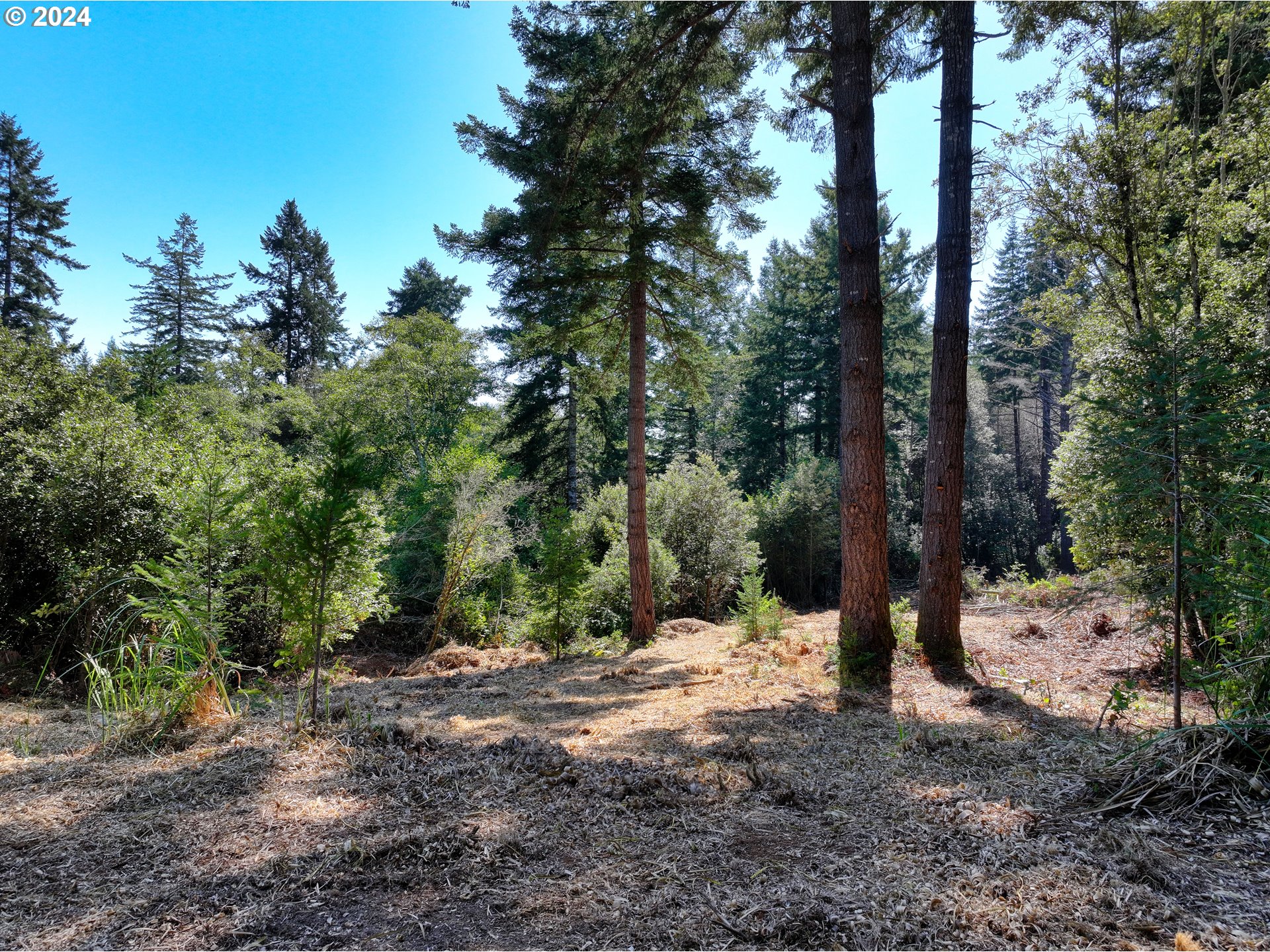 Old County Road Brookings, OR 97415 - Photo 18 of 26