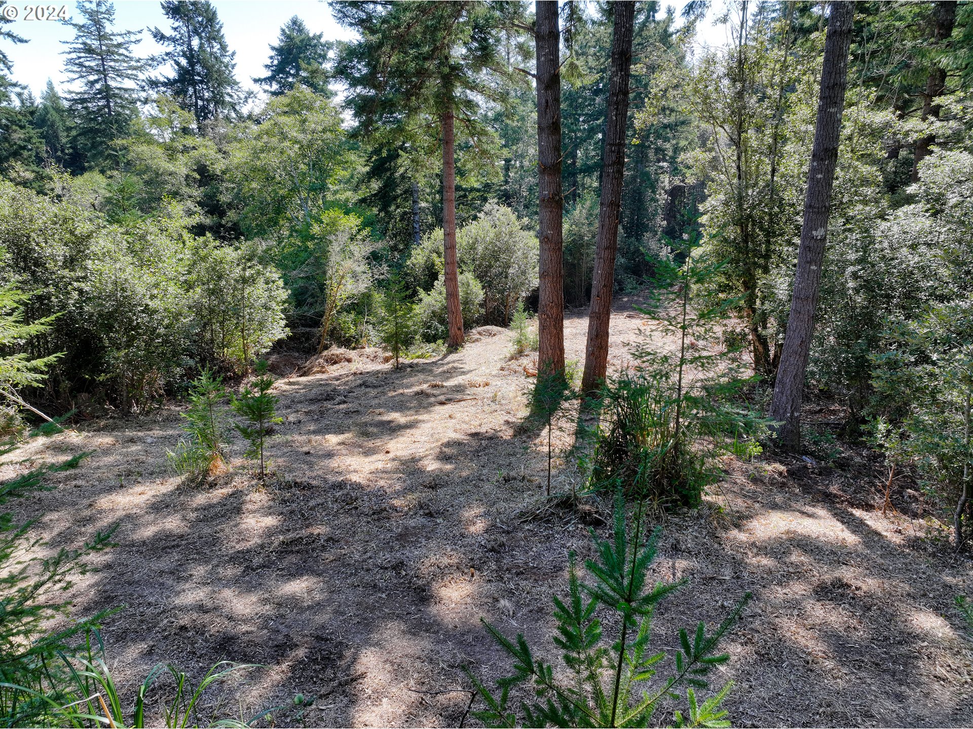 Old County Road Brookings, OR 97415 - Photo 19 of 26