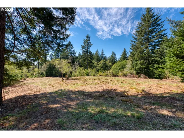 a view of a yard with a tree