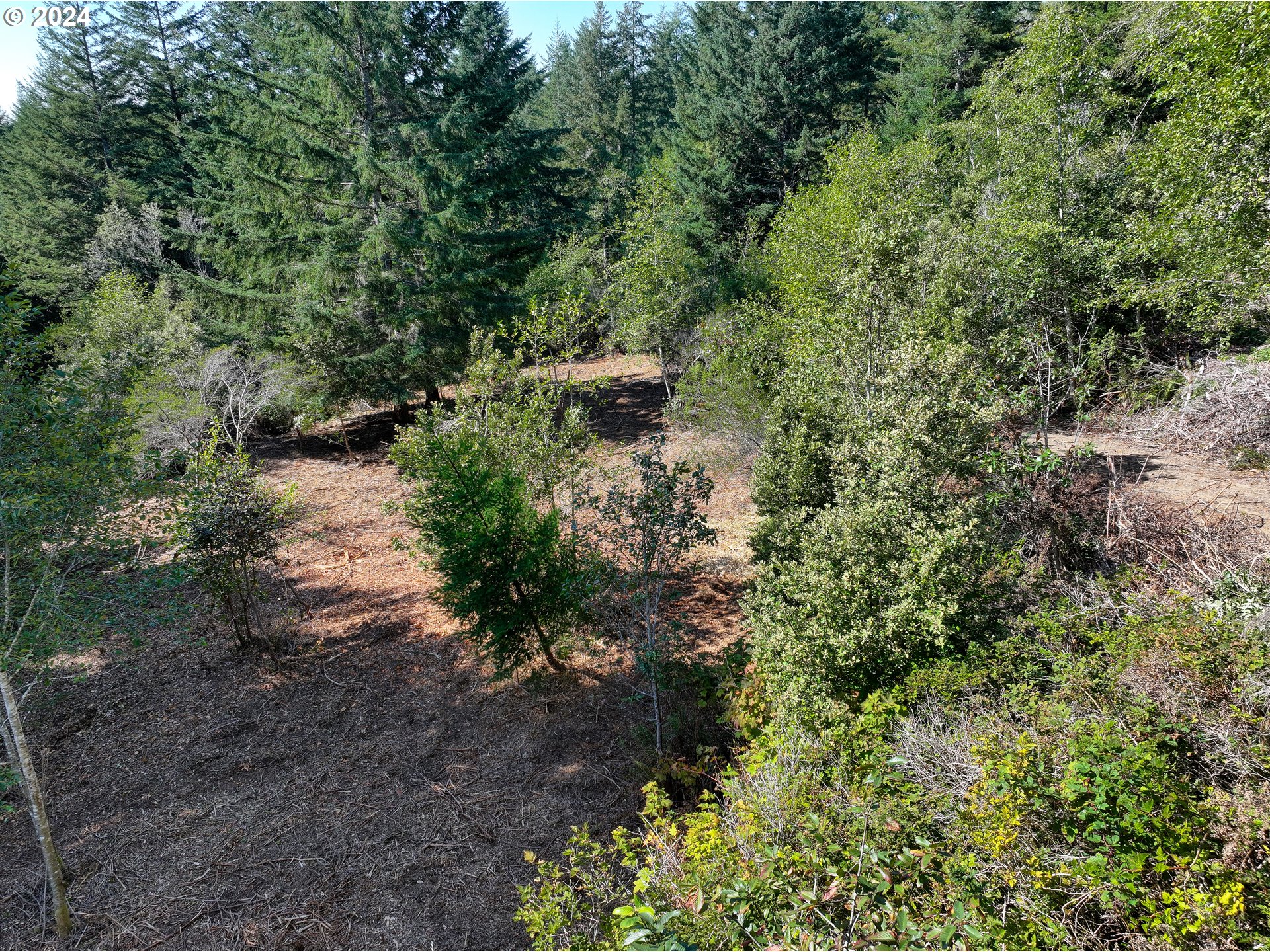 Old County Road Brookings, OR 97415 - Photo 21 of 26