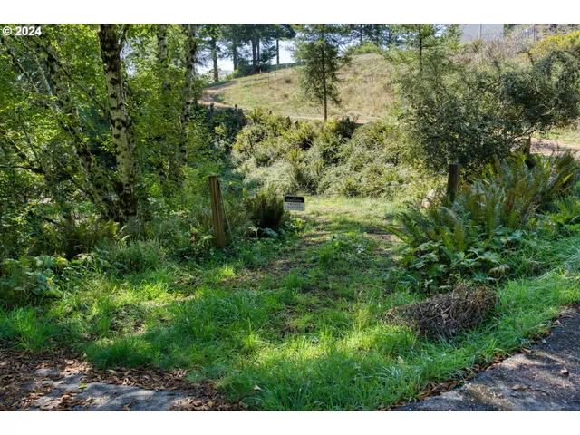 a view of outdoor space and yard