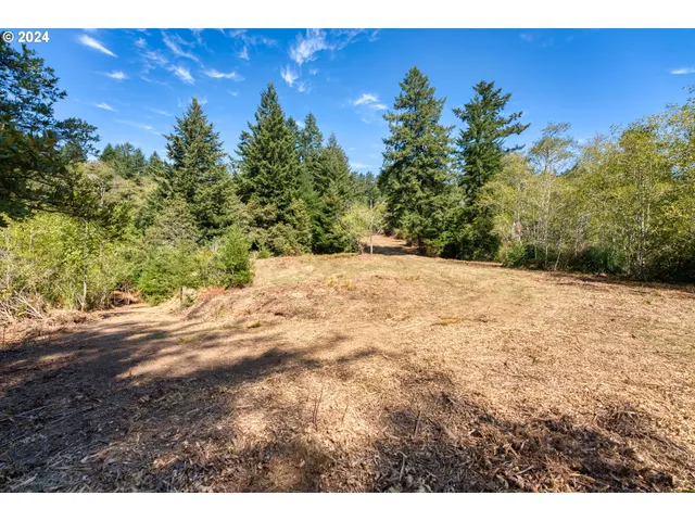 a view of a yard with a tree