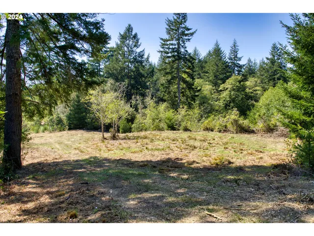a view of a yard with a tree