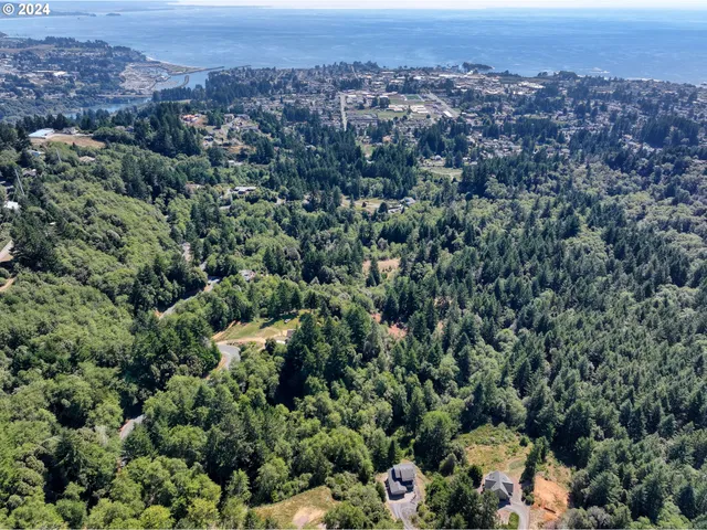 an aerial view of a residential houses and city view