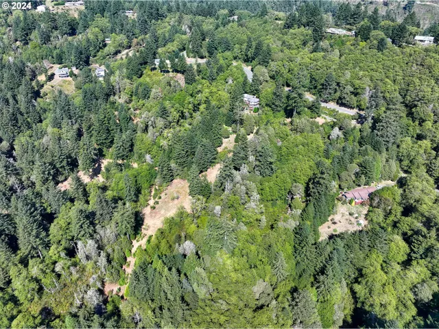 an aerial view of residential house with outdoor space and trees all around