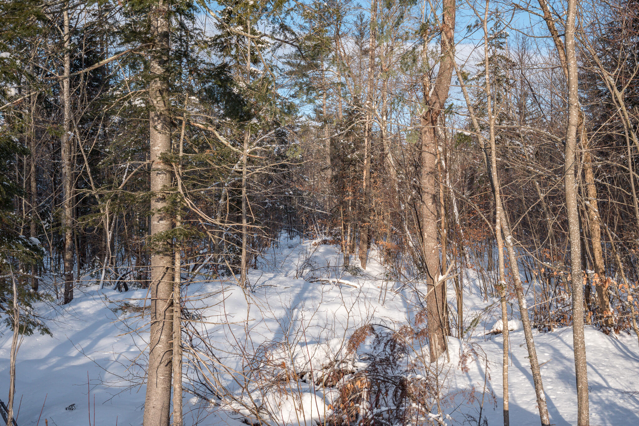 480 Sunday River Road Newry, ME 04261 - Photo 15 of 16 Webb Lots-2