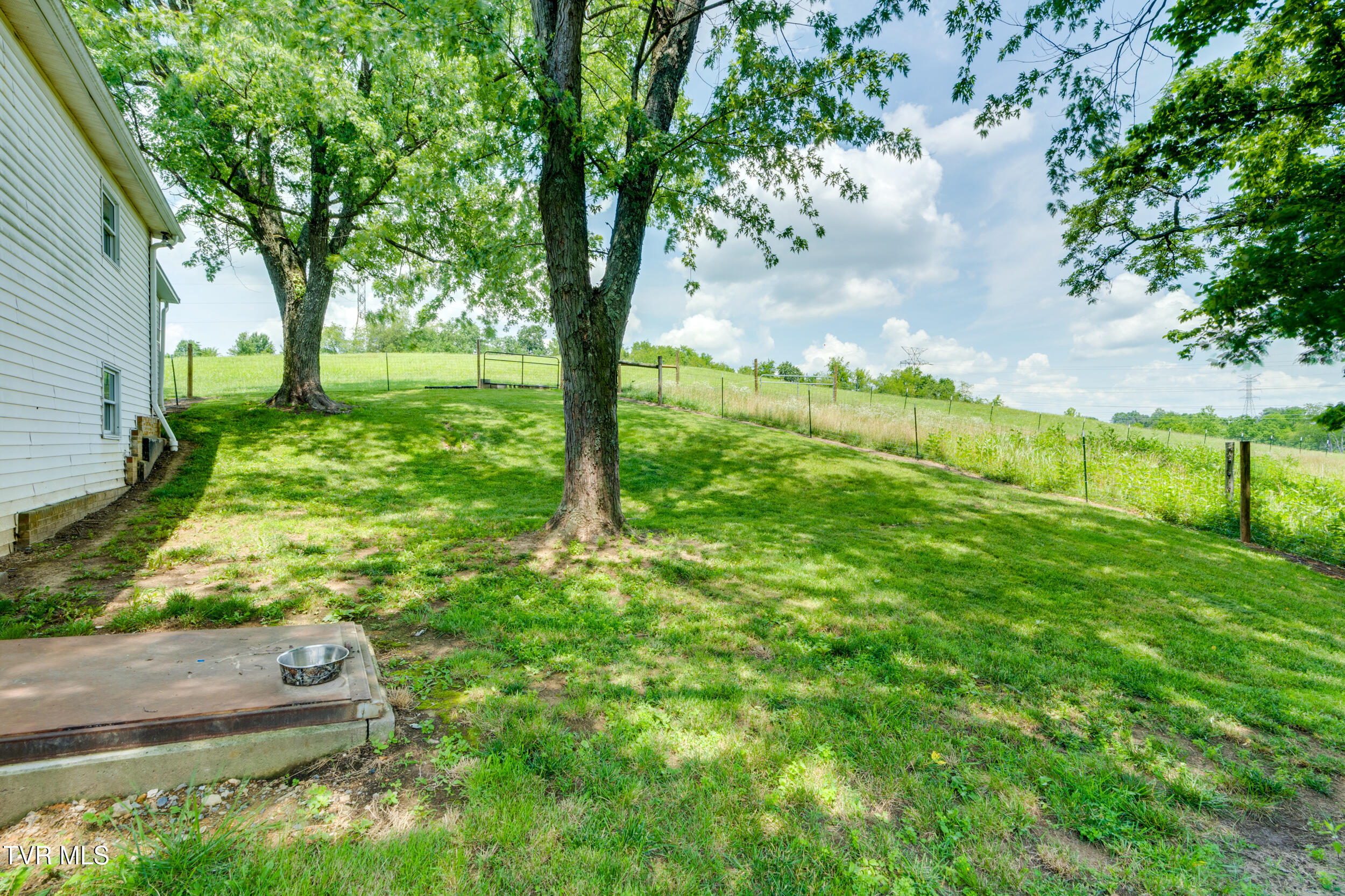 208 Buffalo Road Bluff City, TN 37618 - Photo 50 of 90 052
