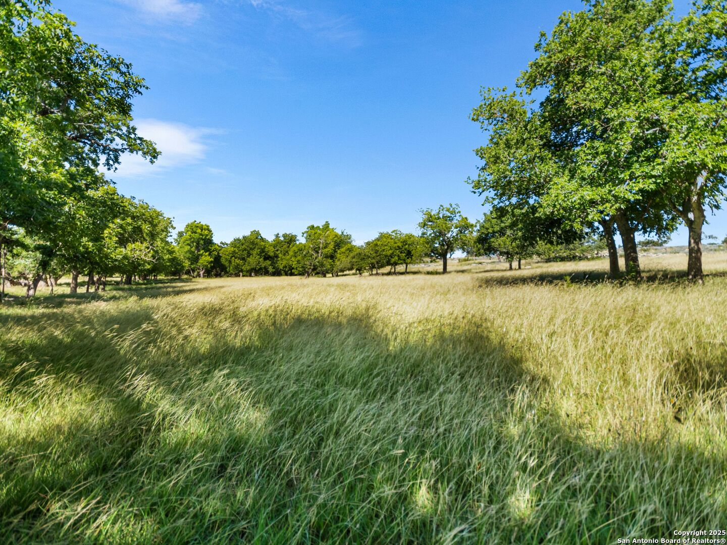 4369 Reeh-Weinheimer Road Fredericksburg, TX 78624 - Photo 10 of 80