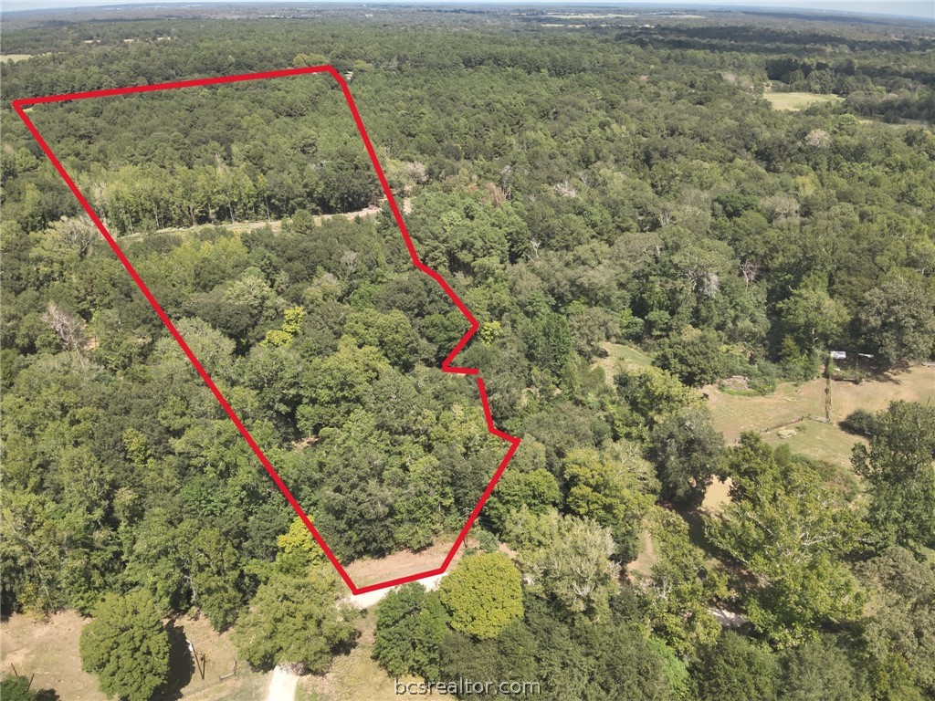 134 Bocaregra Road Leona, TX 75850 - Photo 1 of 13 Gallery Image 1