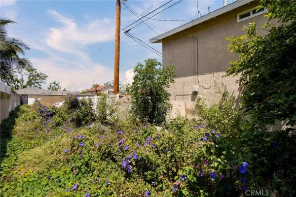a backyard of a house with lots of green space