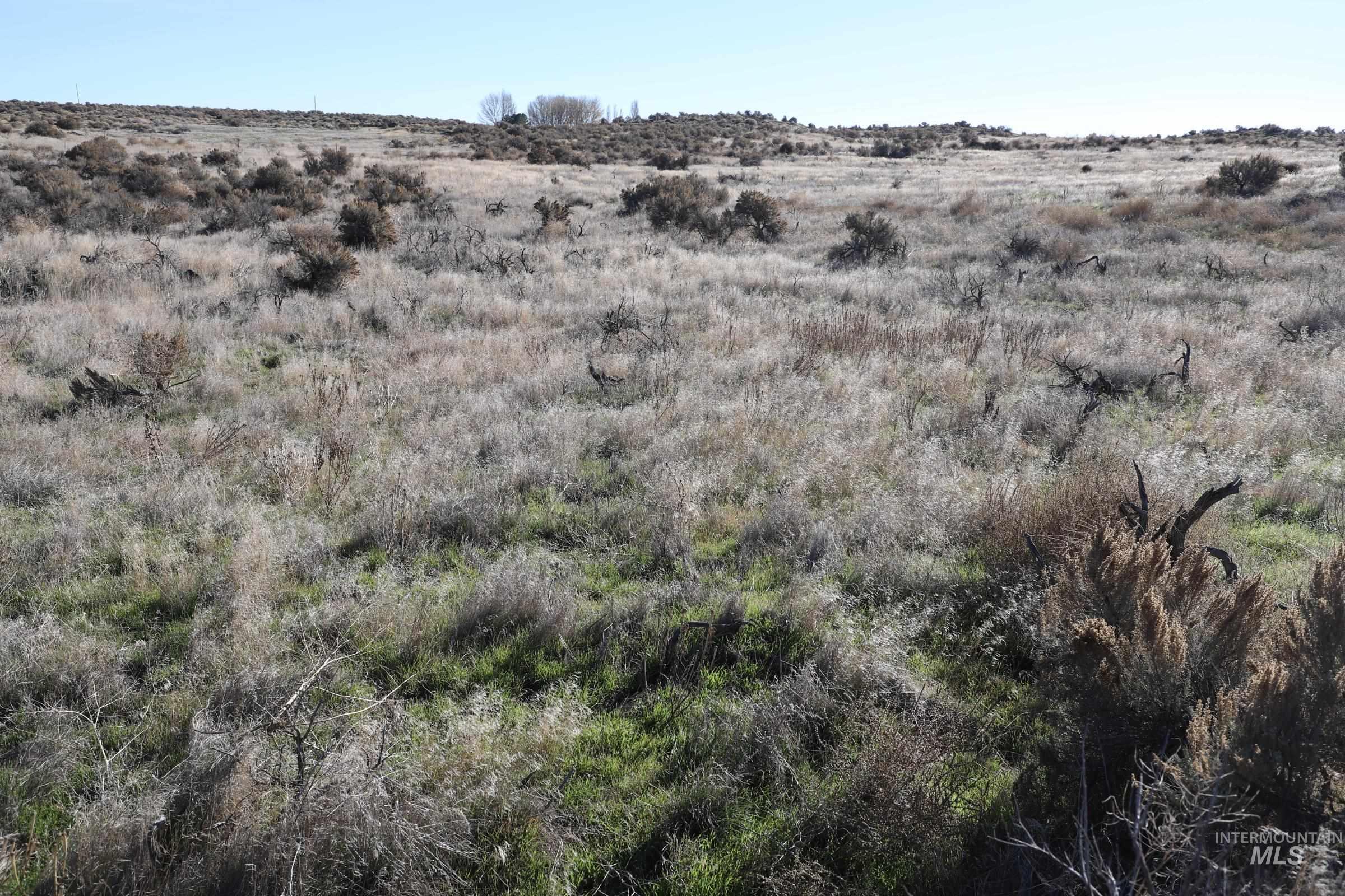 1200 East Bliss, ID 83314 - Photo 6 of 10