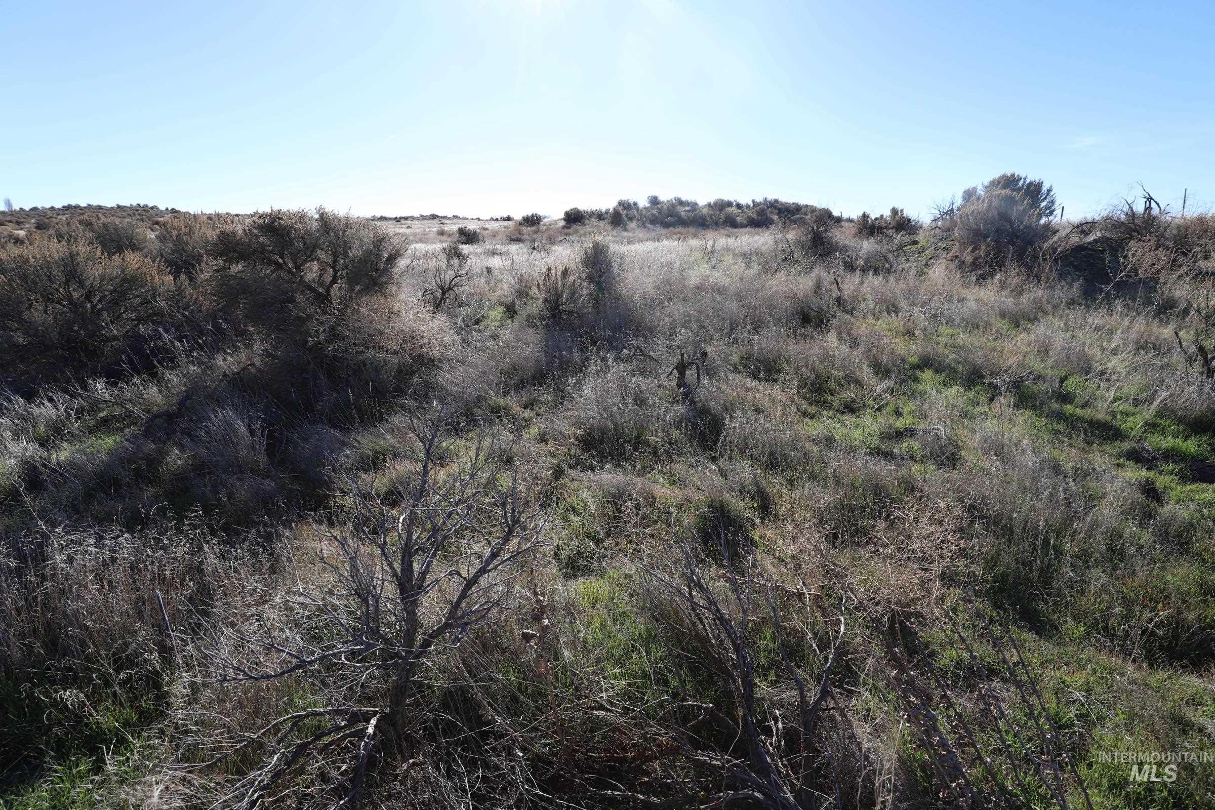 1200 East Bliss, ID 83314 - Photo 10 of 10