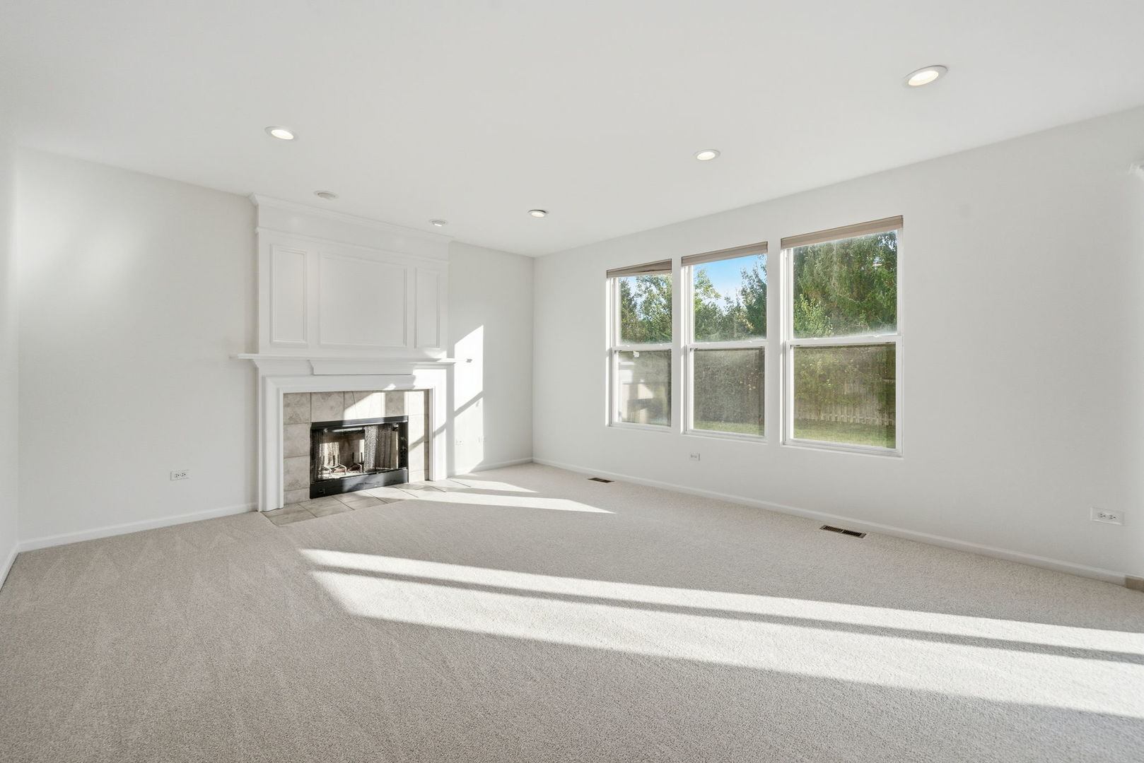 402 Marshall Ash Street Bolingbrook, IL 60490 - Photo 10 of 19