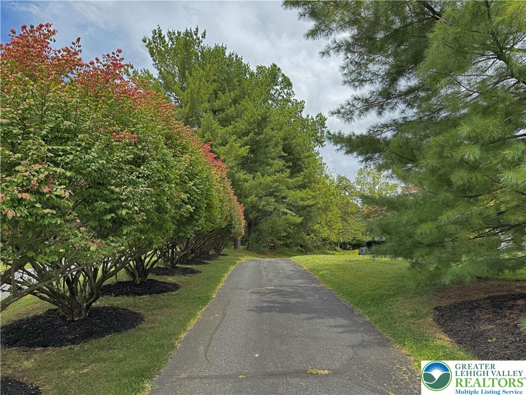1997 West Point Drive Bethlehem, PA 18015 - Photo 87 of 94 a view of a garden with plants and large trees