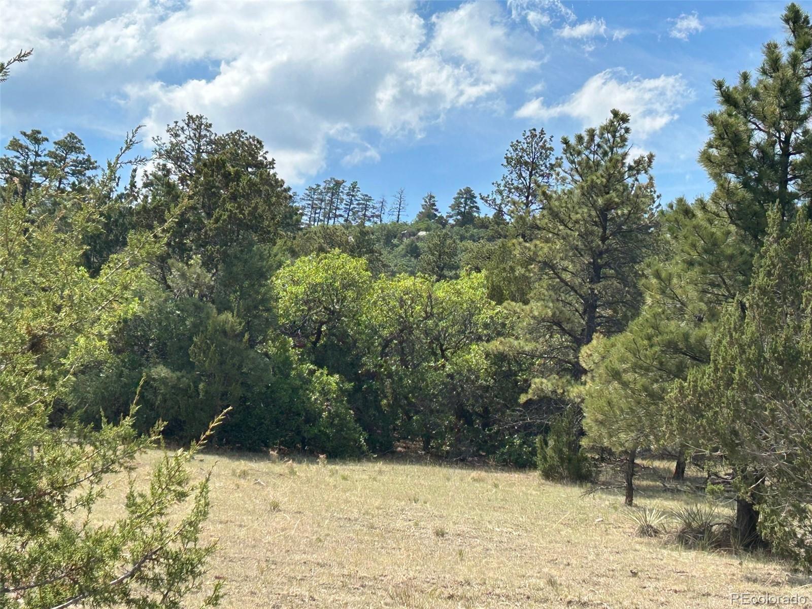 Lot 26 Tbd Signal Mountain Ranch Beulah, CO 81023 - Photo 10 of 15