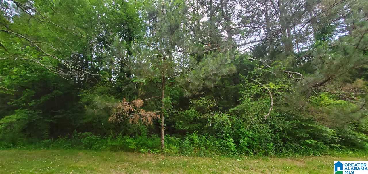 0 South Old 6 Mile Road Somerville, AL 35670 - Photo 3 of 5