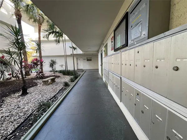 a swimming pool with lots of tress in front of it