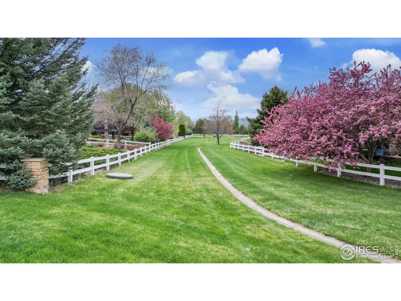 8368 Castaway Drive Windsor, CO 80528 - Photo 34 of 40 Beautiful shared green space between homes allows for extra privacy