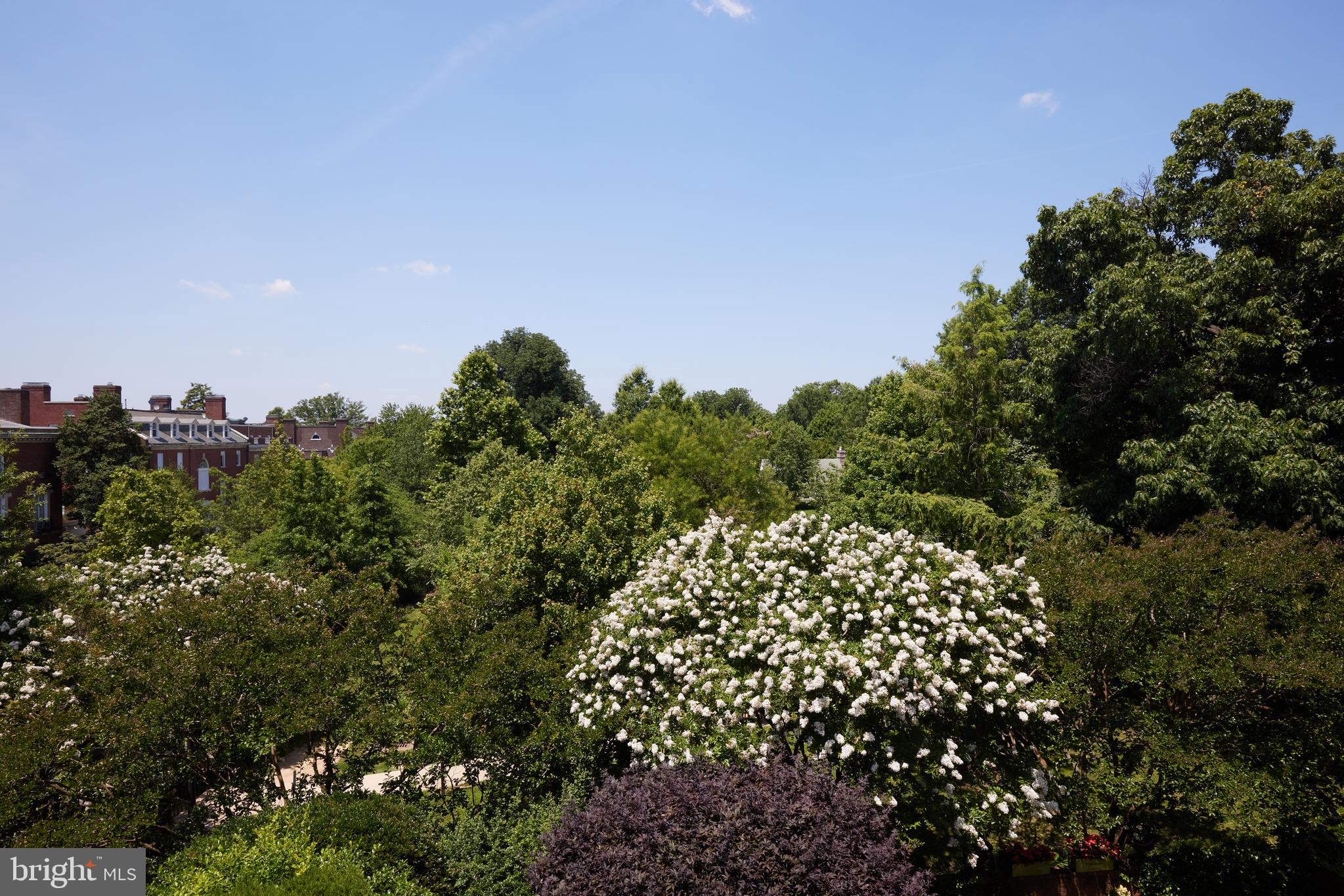 1802 Kalorama Square, Unit 16 Washington, DC 20008 - Photo 33 of 58 a view of a large building