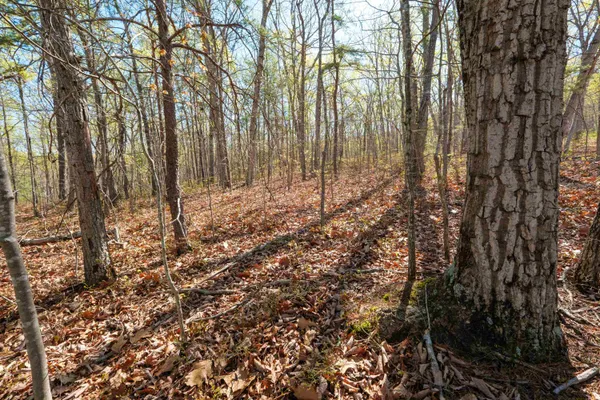 $124,900 | Tbd Dove Landing Drive, Elkton, VA 22827