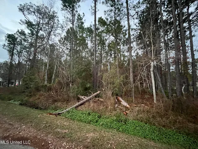 $15,000 | 45-47 Kingswood Street, Bay St. Louis, MS 39520