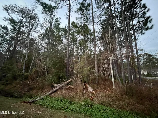 $15,000 | 45-47 Kingswood Street, Bay St. Louis, MS 39520