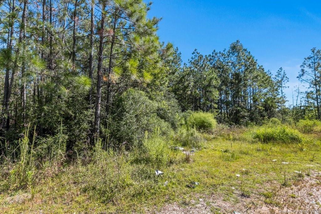 1 Pilgrim Rest Road Dequincy, LA 70633 - Photo 2 of 7