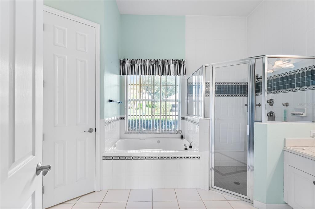 2817 Falcon Ridge Clermont, FL 34711 - Photo 25 of 41 a bathroom with a bathtub and a shower