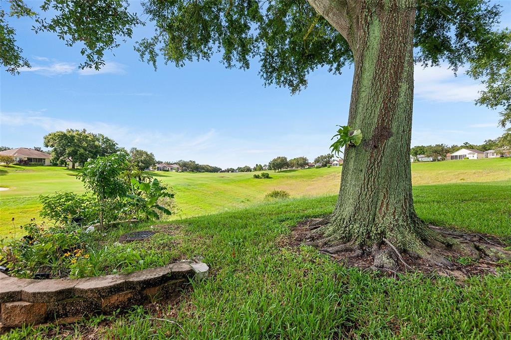 2817 Falcon Ridge Clermont, FL 34711 - Photo 41 of 41 a view of a garden with an ocean and house in the back