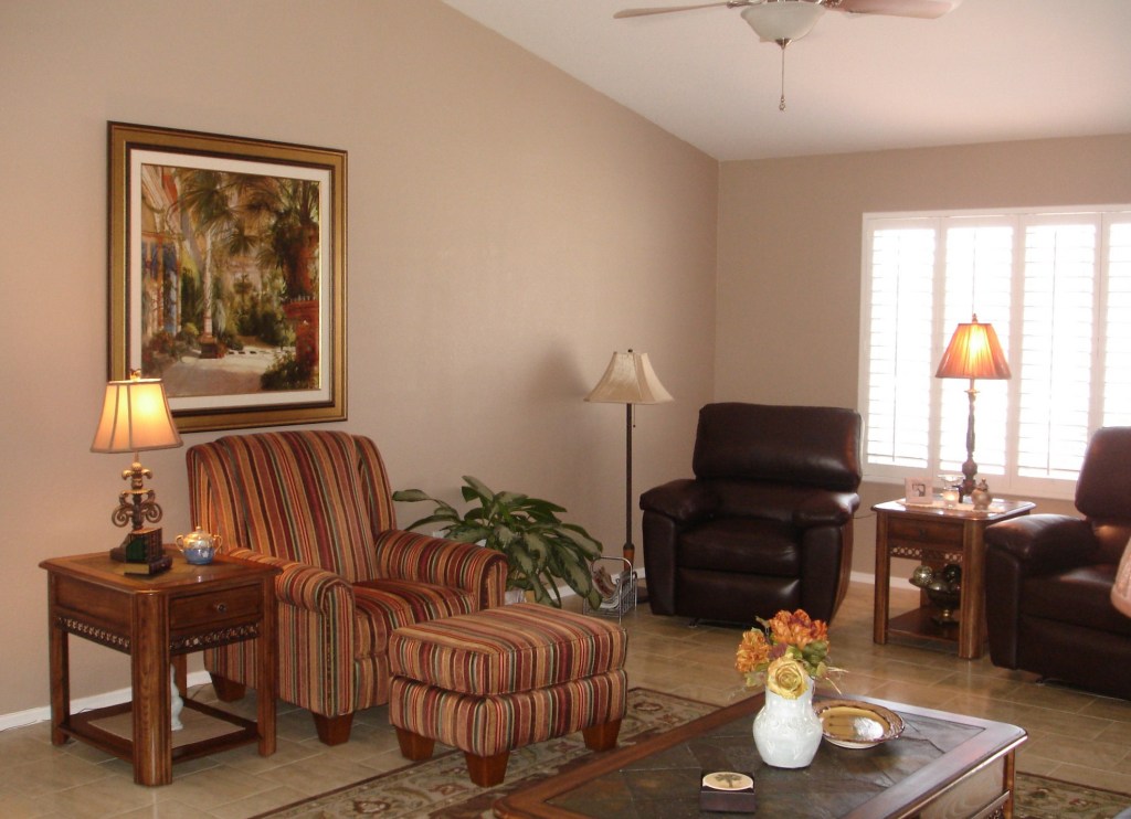1770 East Sycamore Road Casa Grande, AZ 85122 - Photo 5 of 13 Living Room