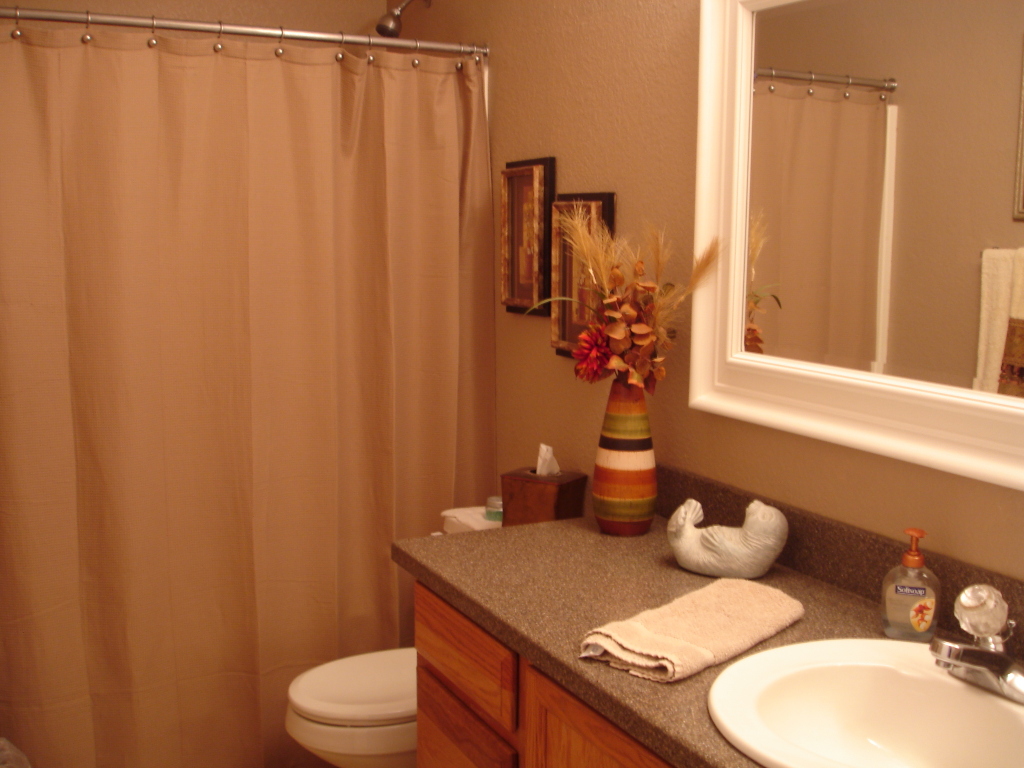 1770 East Sycamore Road Casa Grande, AZ 85122 - Photo 10 of 13 Bathroom 2