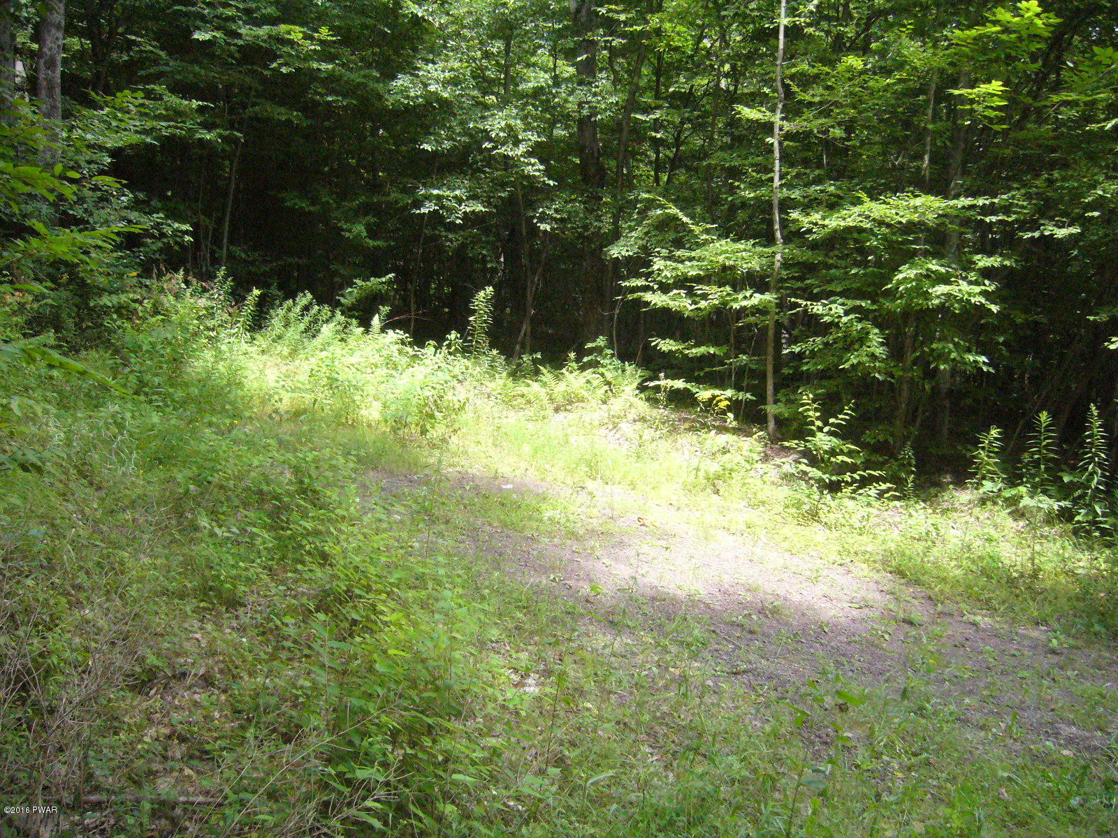 Willoway Road Starlight, PA 18461 - Photo 3 of 9