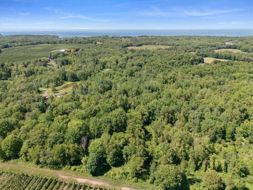Geneva Road Sodus, NY 14551 - Photo 26 of 34