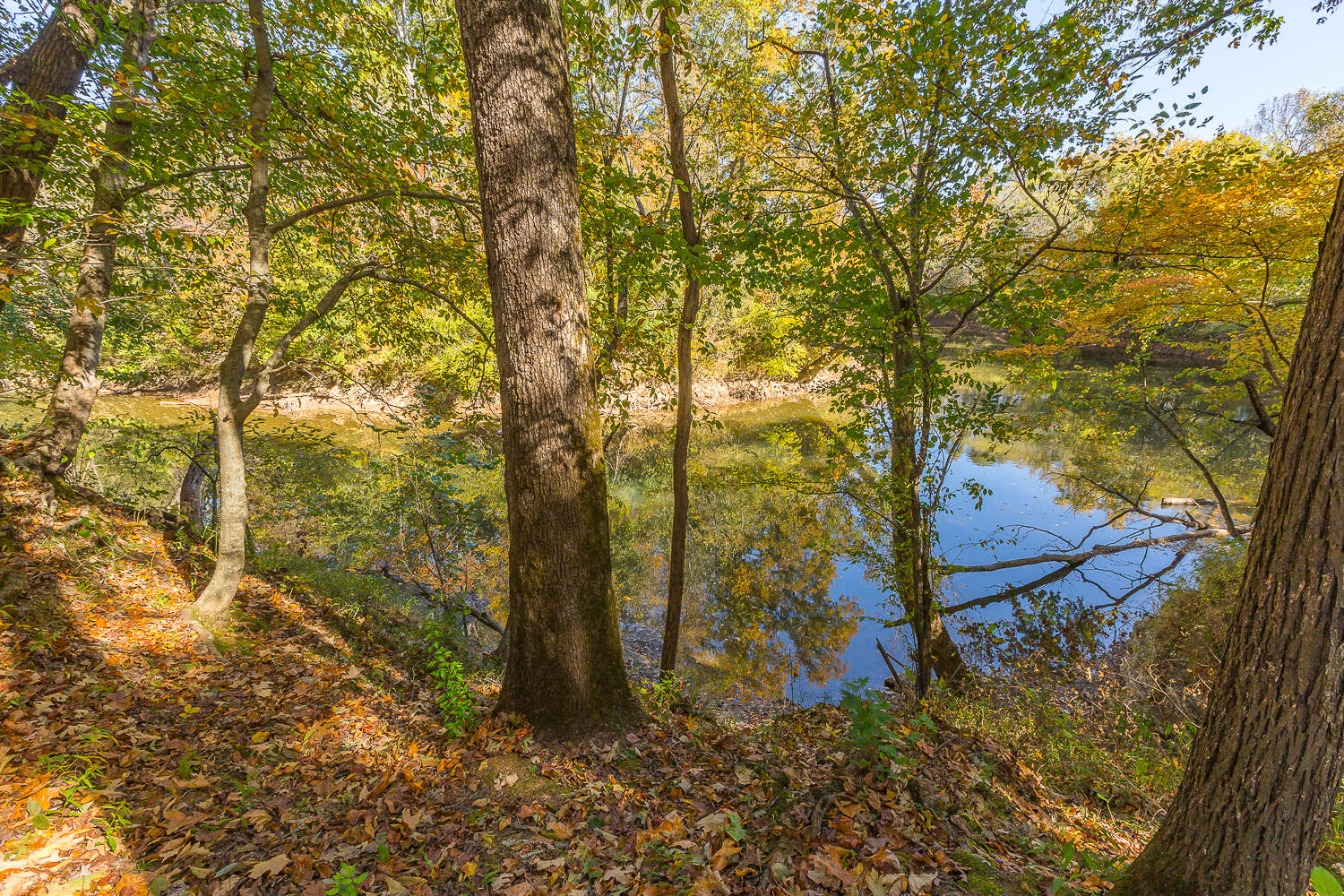 3891 Brown Bridge Road Dalton, GA 30721 - Photo 2 of 81 3891 Brown Bridge HD (9 of 63)
