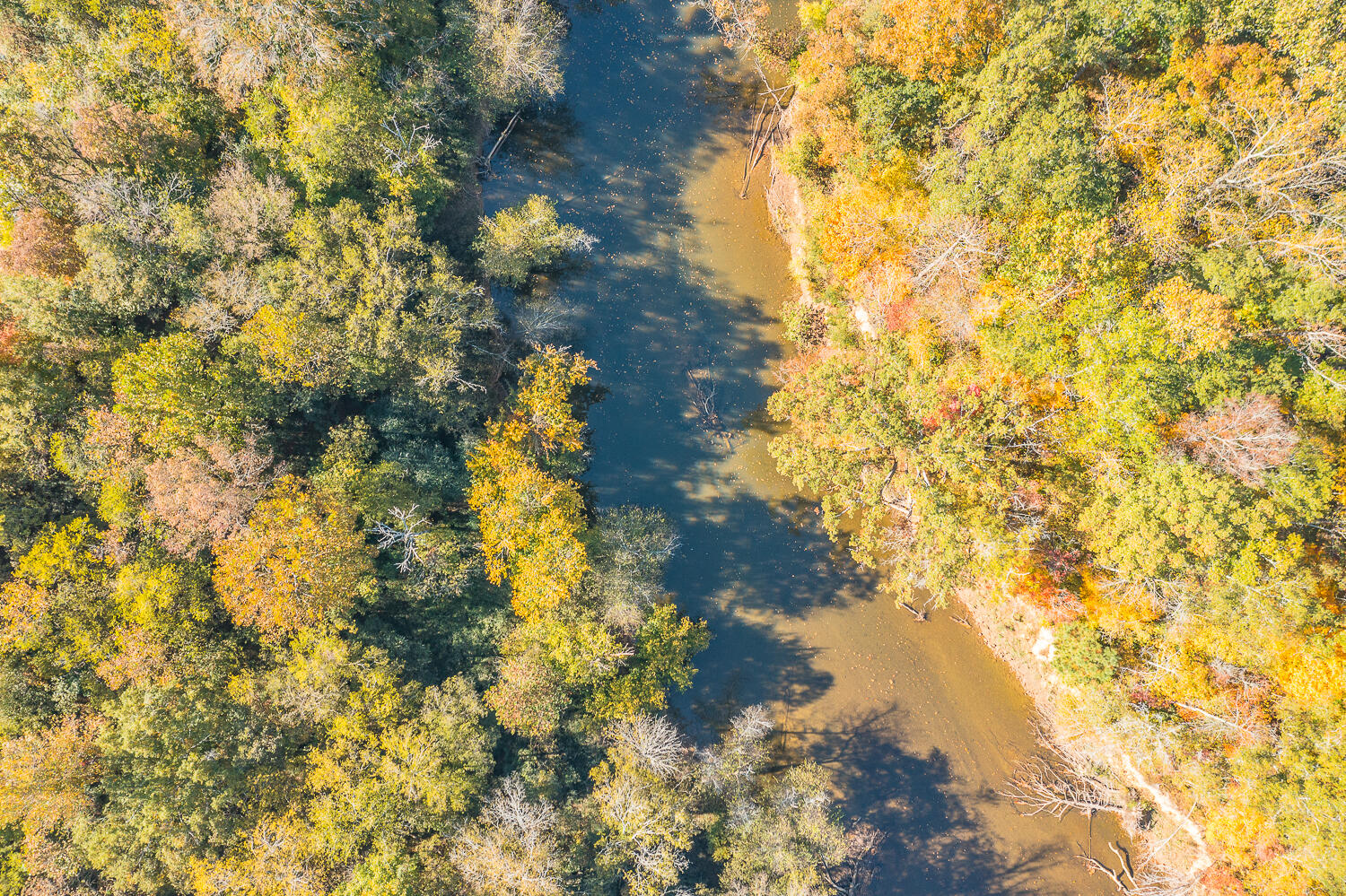 3891 Brown Bridge Road Dalton, GA 30721 - Photo 51 of 81 3891 Brown Bridge Aerials HD (8 of 13)