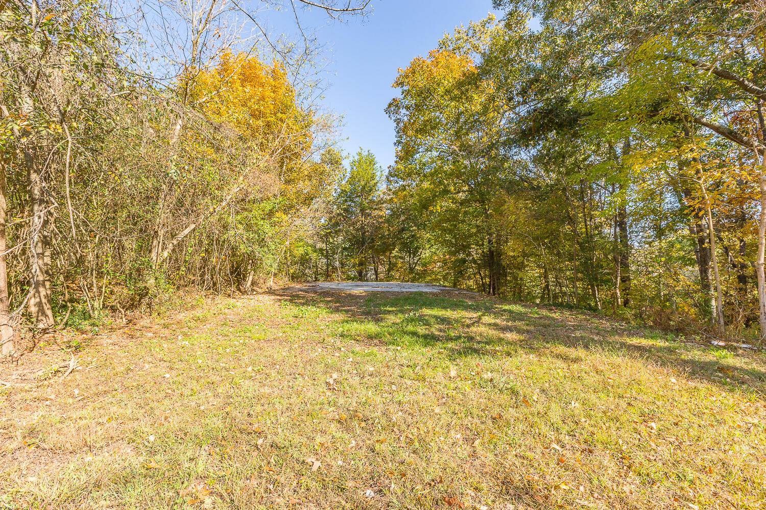 3891 Brown Bridge Road Dalton, GA 30721 - Photo 58 of 81 3891 Brown Bridge HD (2 of 63)
