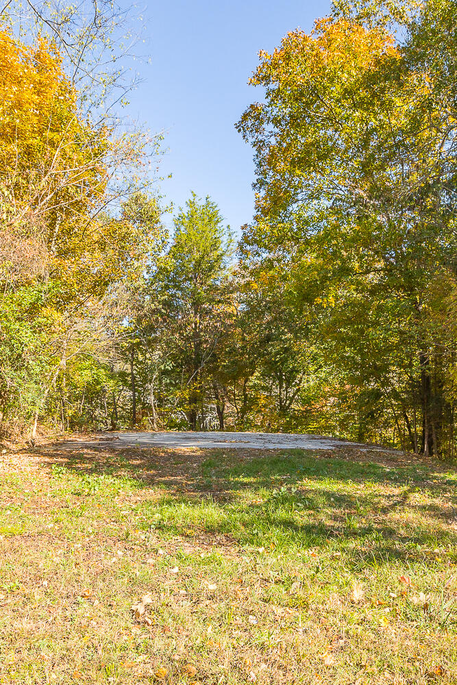 3891 Brown Bridge Road Dalton, GA 30721 - Photo 59 of 81 3891 Brown Bridge HD (3 of 63)