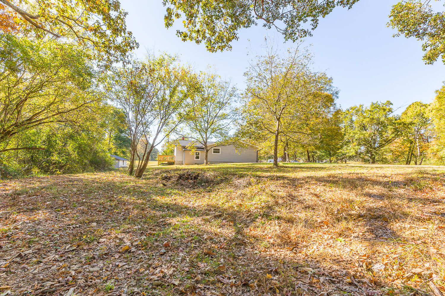 3891 Brown Bridge Road Dalton, GA 30721 - Photo 61 of 81 3891 Brown Bridge HD (5 of 63)