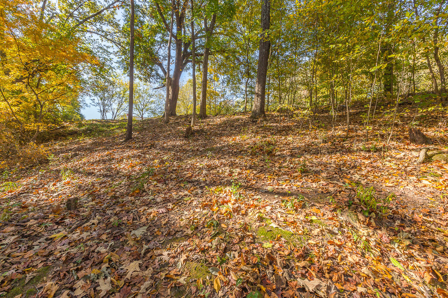 3891 Brown Bridge Road Dalton, GA 30721 - Photo 65 of 81 3891 Brown Bridge HD (11 of 63)