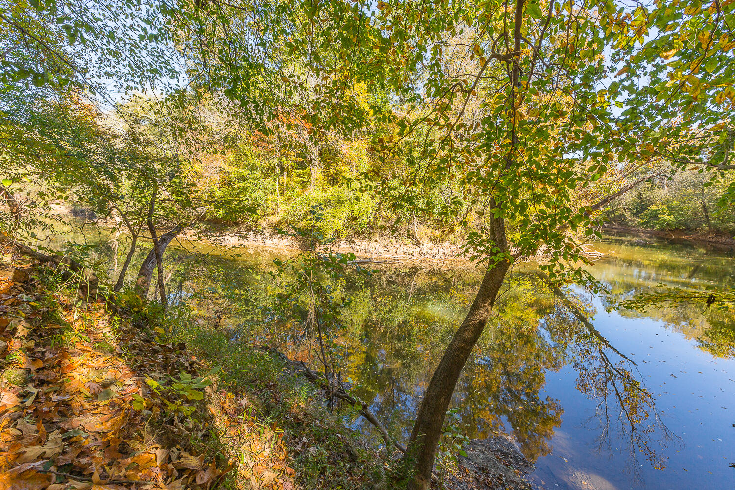 3891 Brown Bridge Road Dalton, GA 30721 - Photo 67 of 81 3891 Brown Bridge HD (13 of 63)