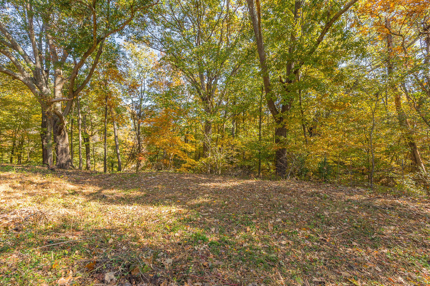 3891 Brown Bridge Road Dalton, GA 30721 - Photo 68 of 81 3891 Brown Bridge HD (14 of 63)