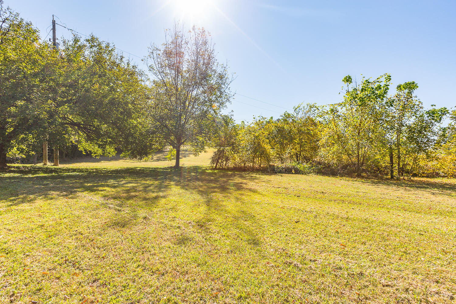 3891 Brown Bridge Road Dalton, GA 30721 - Photo 73 of 81 3891 Brown Bridge HD (23 of 63)