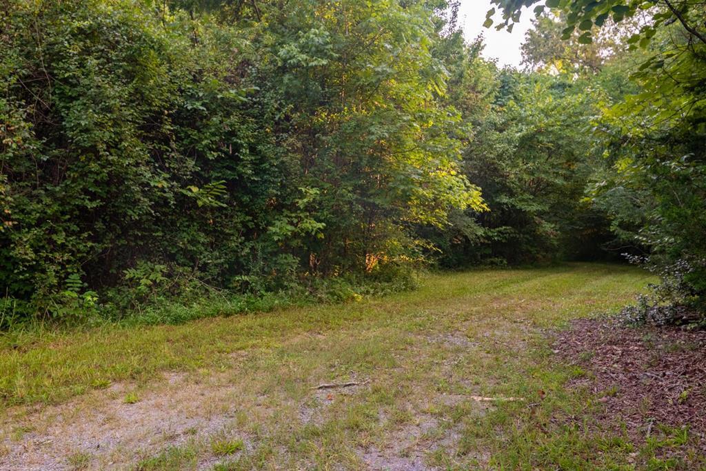 3891 Brown Bridge Road Dalton, GA 30721 - Photo 76 of 81 121527_62