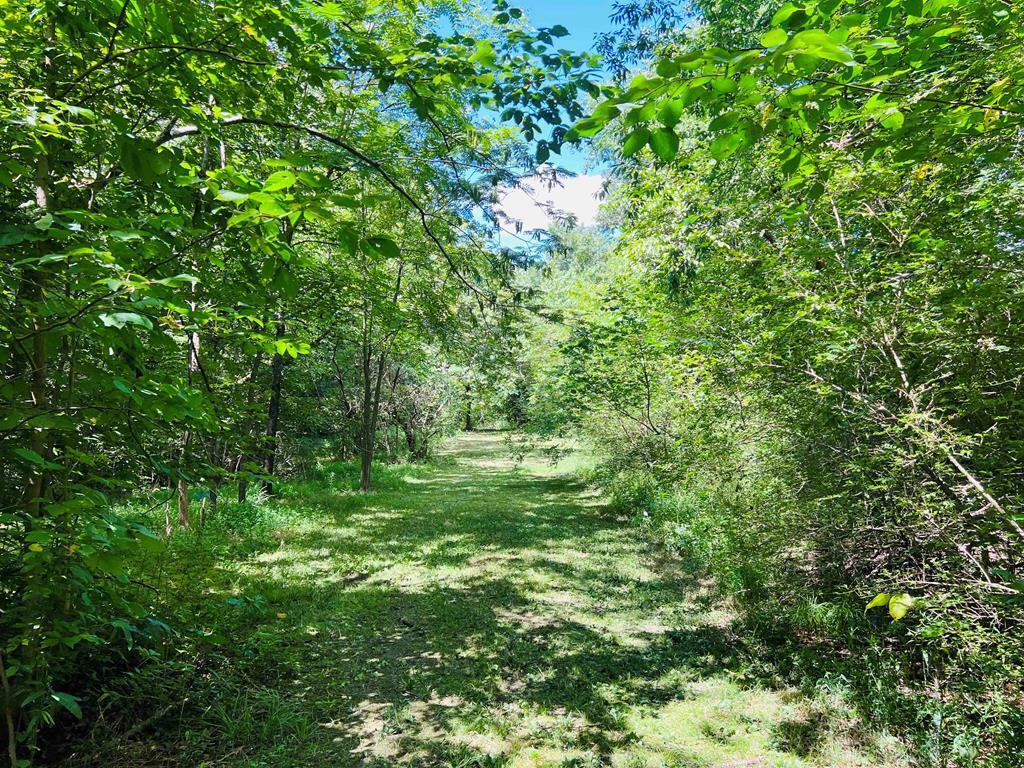 3891 Brown Bridge Road Dalton, GA 30721 - Photo 77 of 81 121527_55