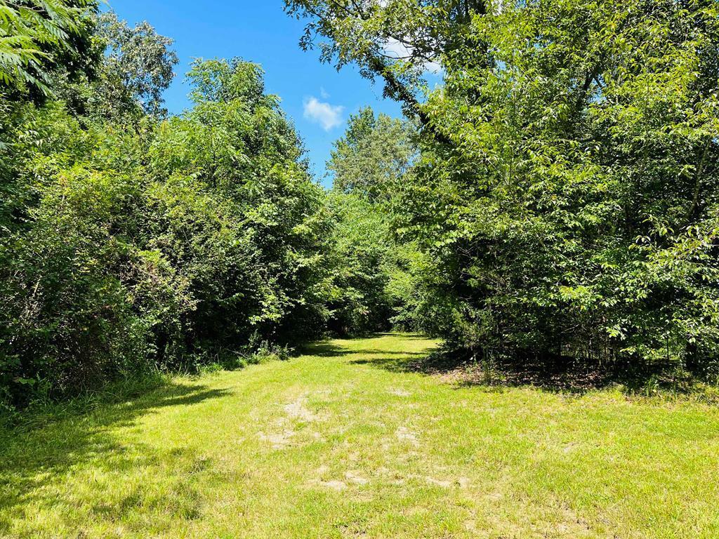 3891 Brown Bridge Road Dalton, GA 30721 - Photo 78 of 81 121527_54