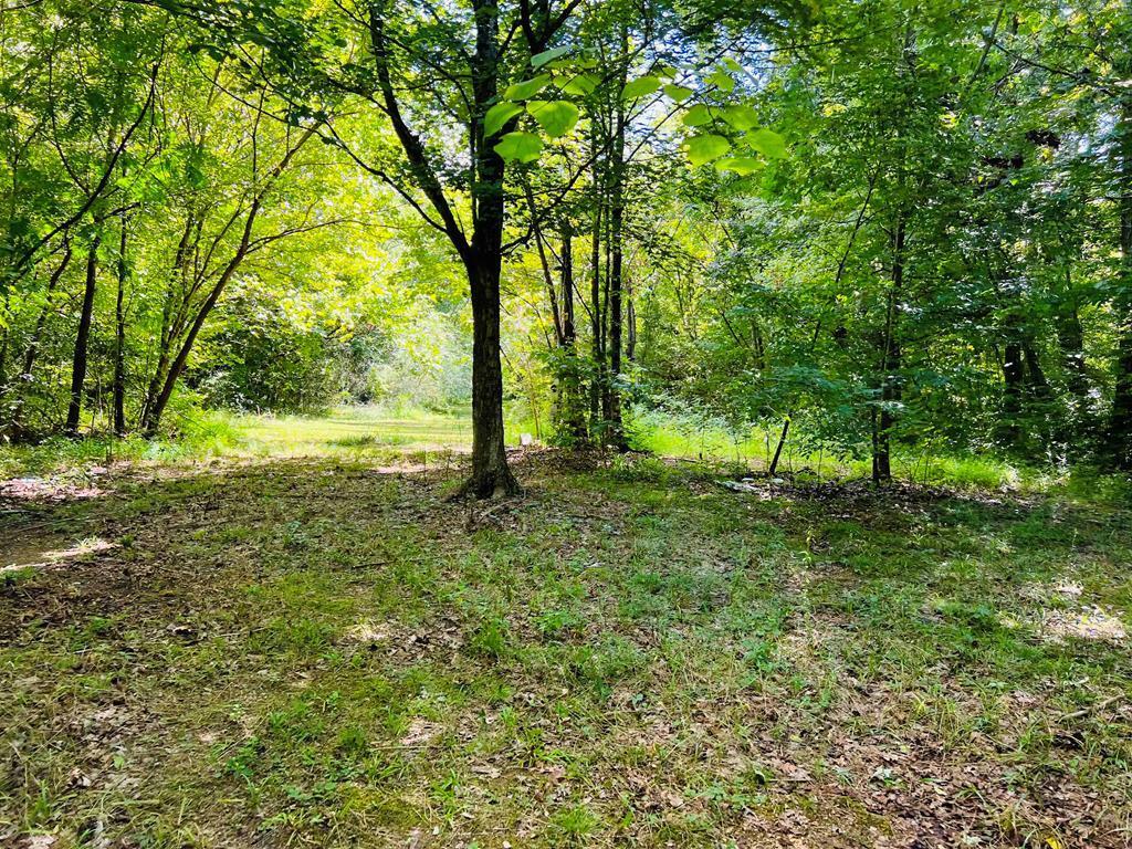 3891 Brown Bridge Road Dalton, GA 30721 - Photo 79 of 81 121527_56