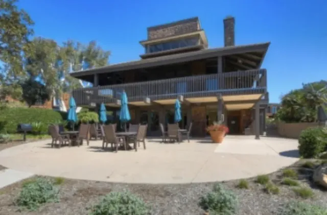 a view of a dry yard with trees