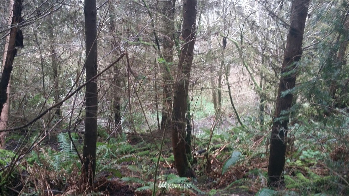 9999 Lawrence Road Port Angeles, WA 98363 - Photo 1 of 1 Gallery Image 1
