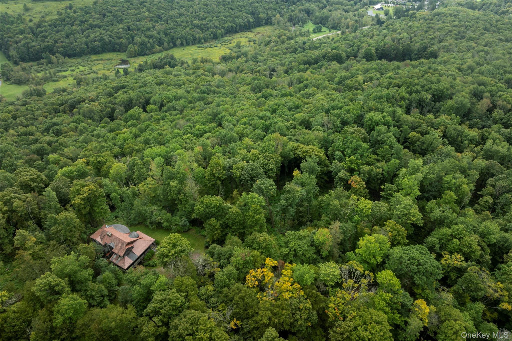 150 Bethlehem Road Callicoon Center, NY 12724 - Photo 38 of 47