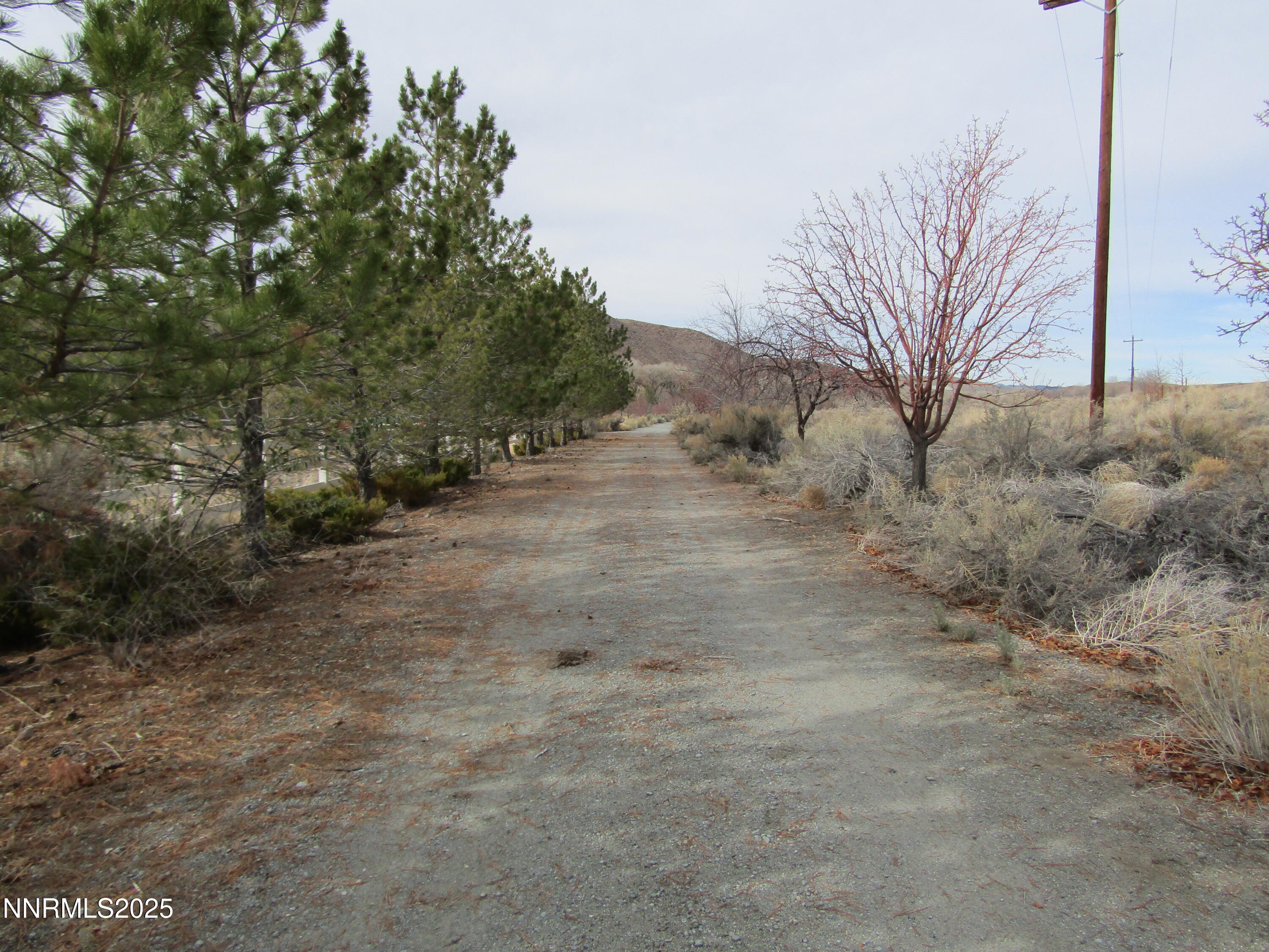 158 East Walker Road Yerington, NV 89447 - Photo 37 of 44 IMG_6151